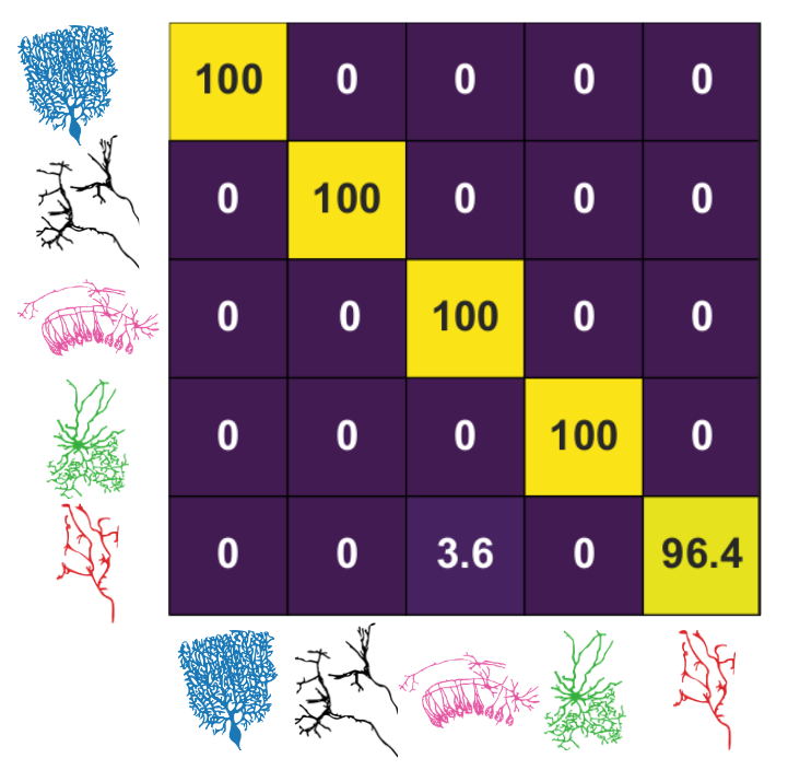 Beau2025_matrix.png